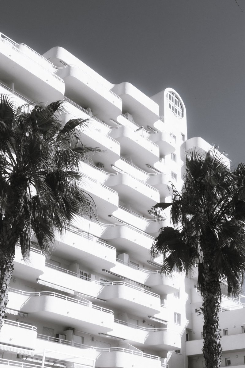 rafa in raw tweet media