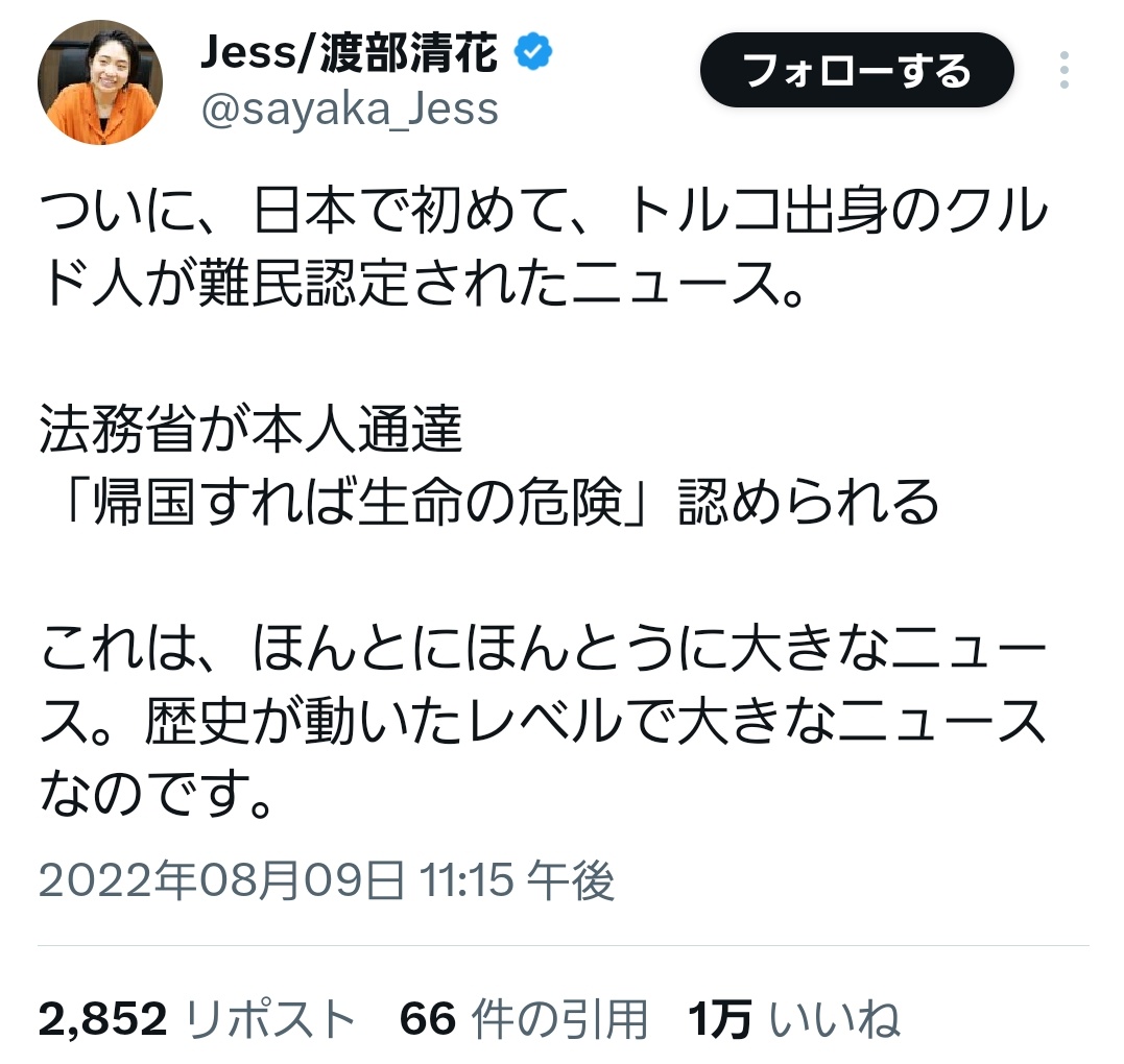 にゃんこ先生 tweet media