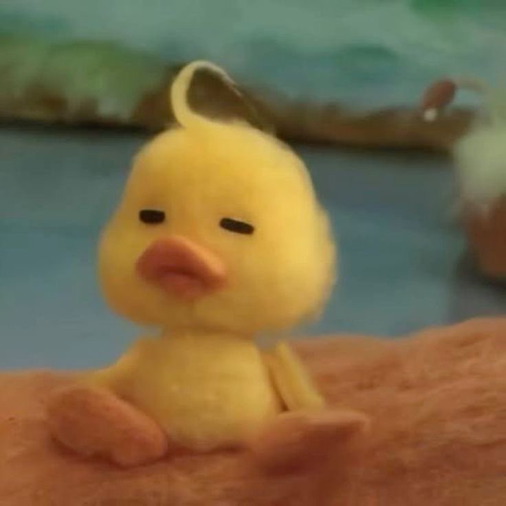 몽뭉이 tweet media