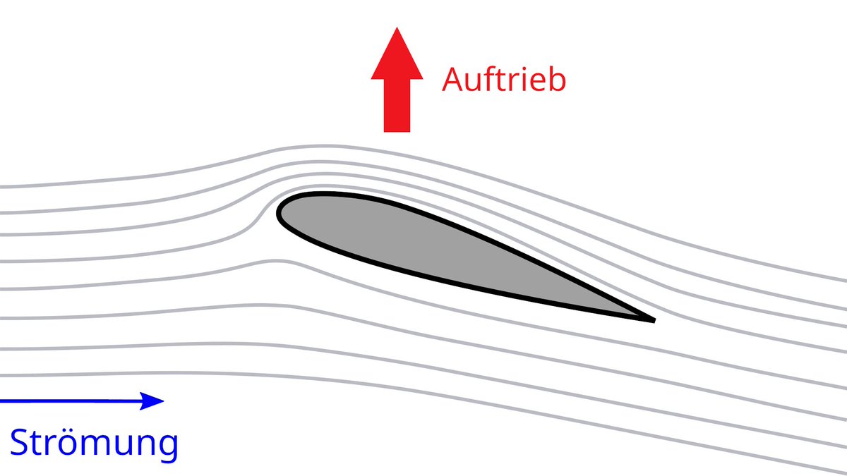 wilcox 🇪🇺 🇺🇦 🇮🇱 ⚛️🚀🏈 tweet media