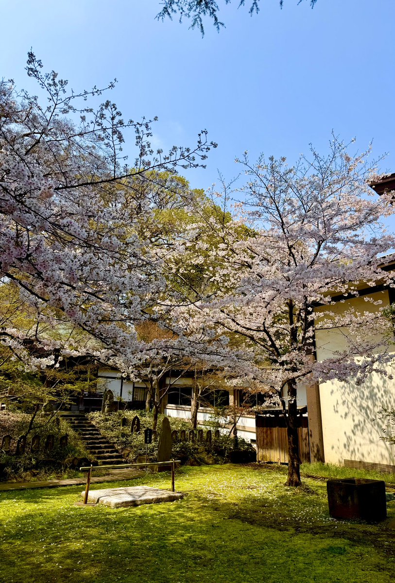 Summer 0cean tweet media