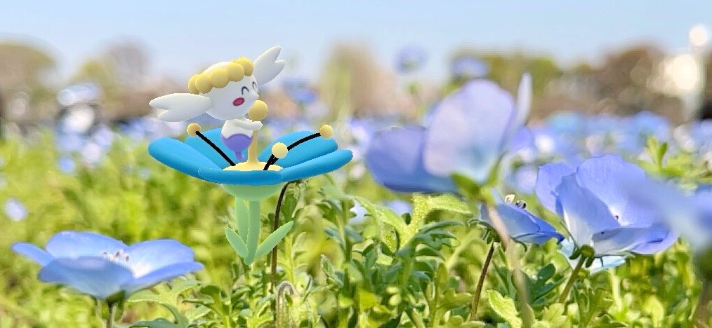 ニャンゴス tweet media