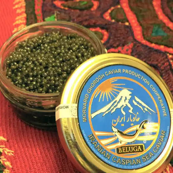 Rudraw XD tweet media