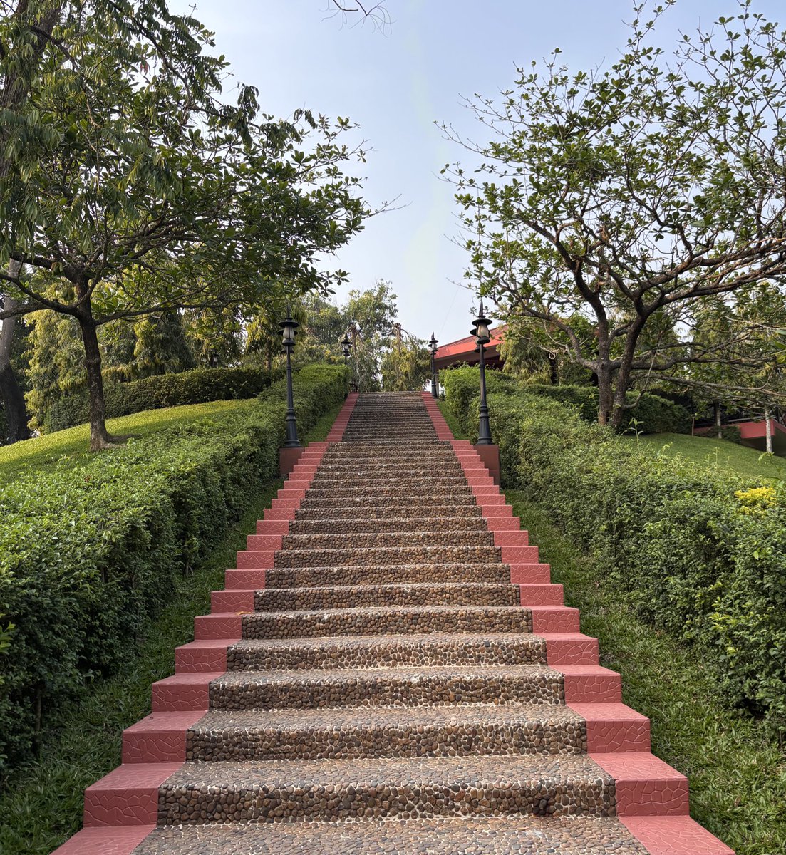 Ria ✨🩺 tweet media