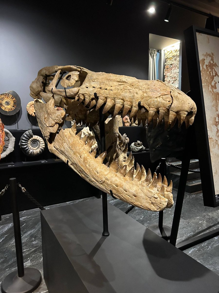 мияги эщкере tweet media