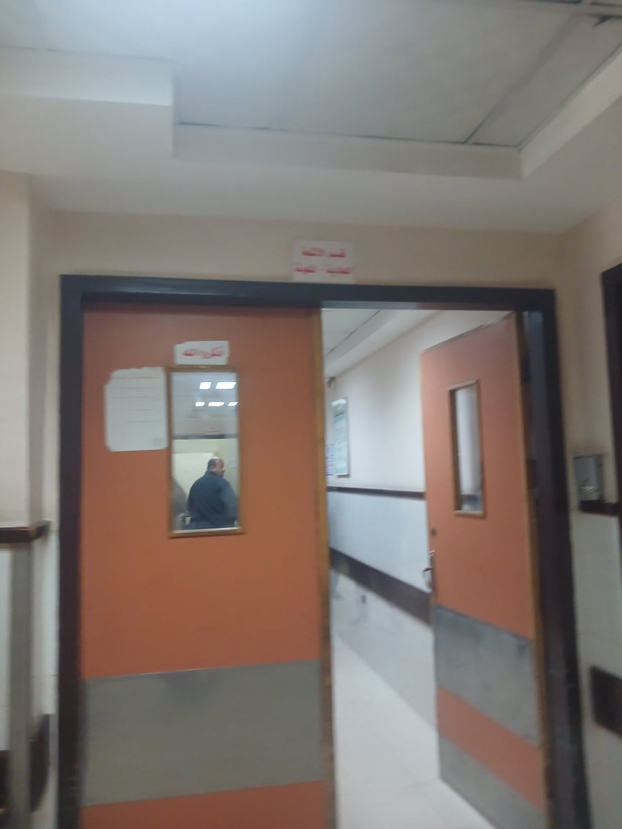 Shereen 𓂆 🇵🇸 tweet media