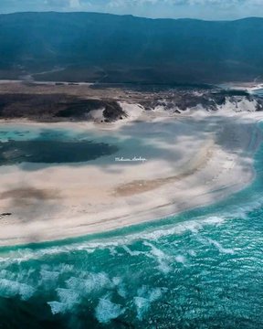 دواء tweet media