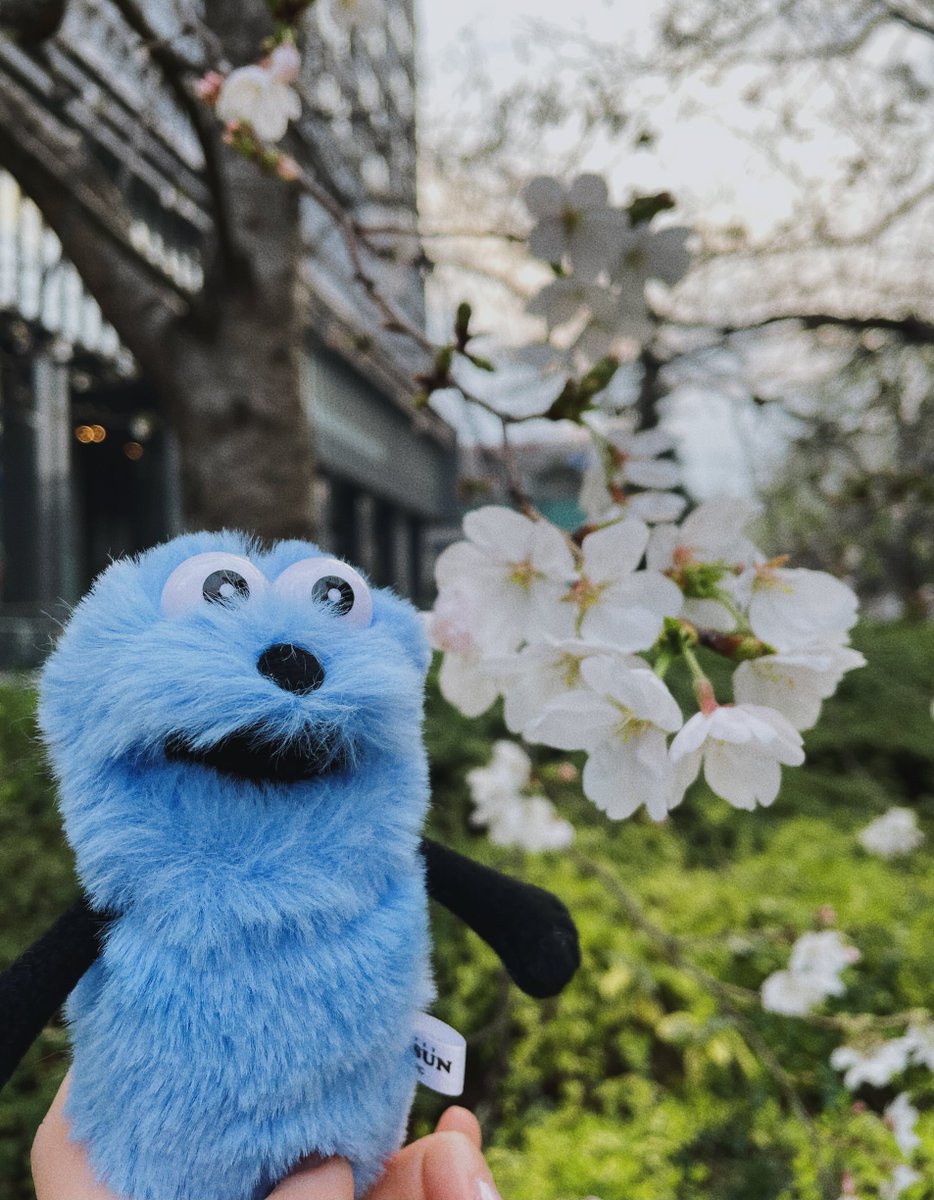 こゆすん tweet media