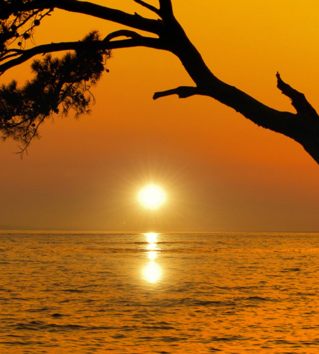 David Barve tweet media