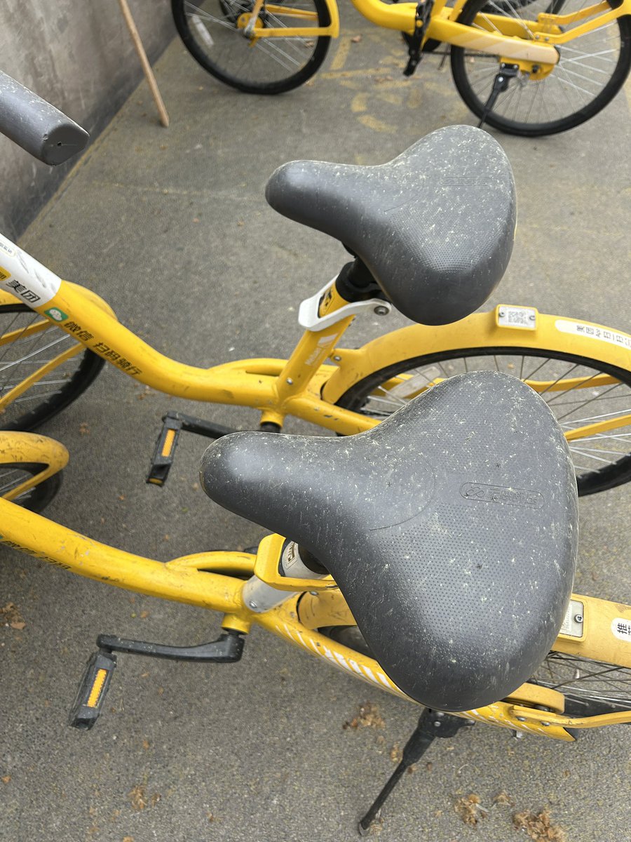 Kevin O’Shea tweet media