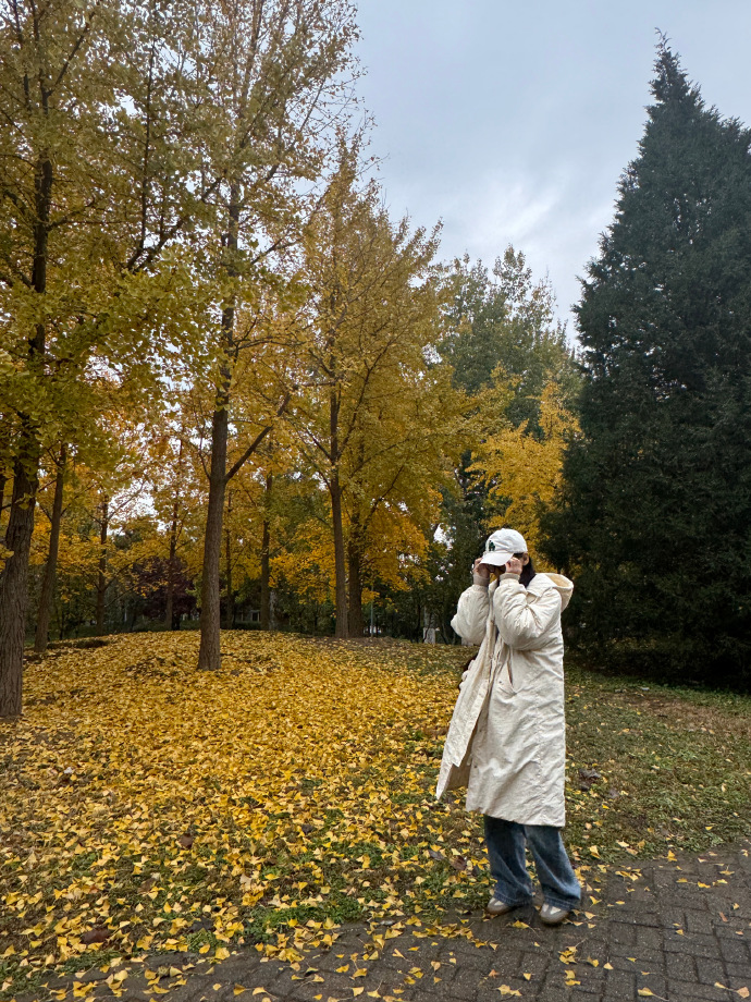 Bártfai Csilla tweet media