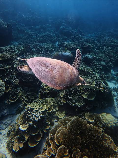 Jaehyuk. tweet media