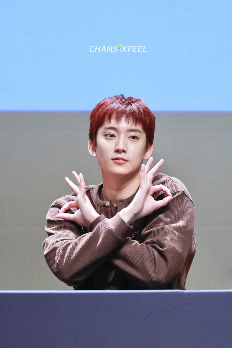 𝘾𝙃𝘼𝙉𝙎𝙄𝙆𝙁𝙀𝙀𝙇 🐾🫧공찬 tweet media