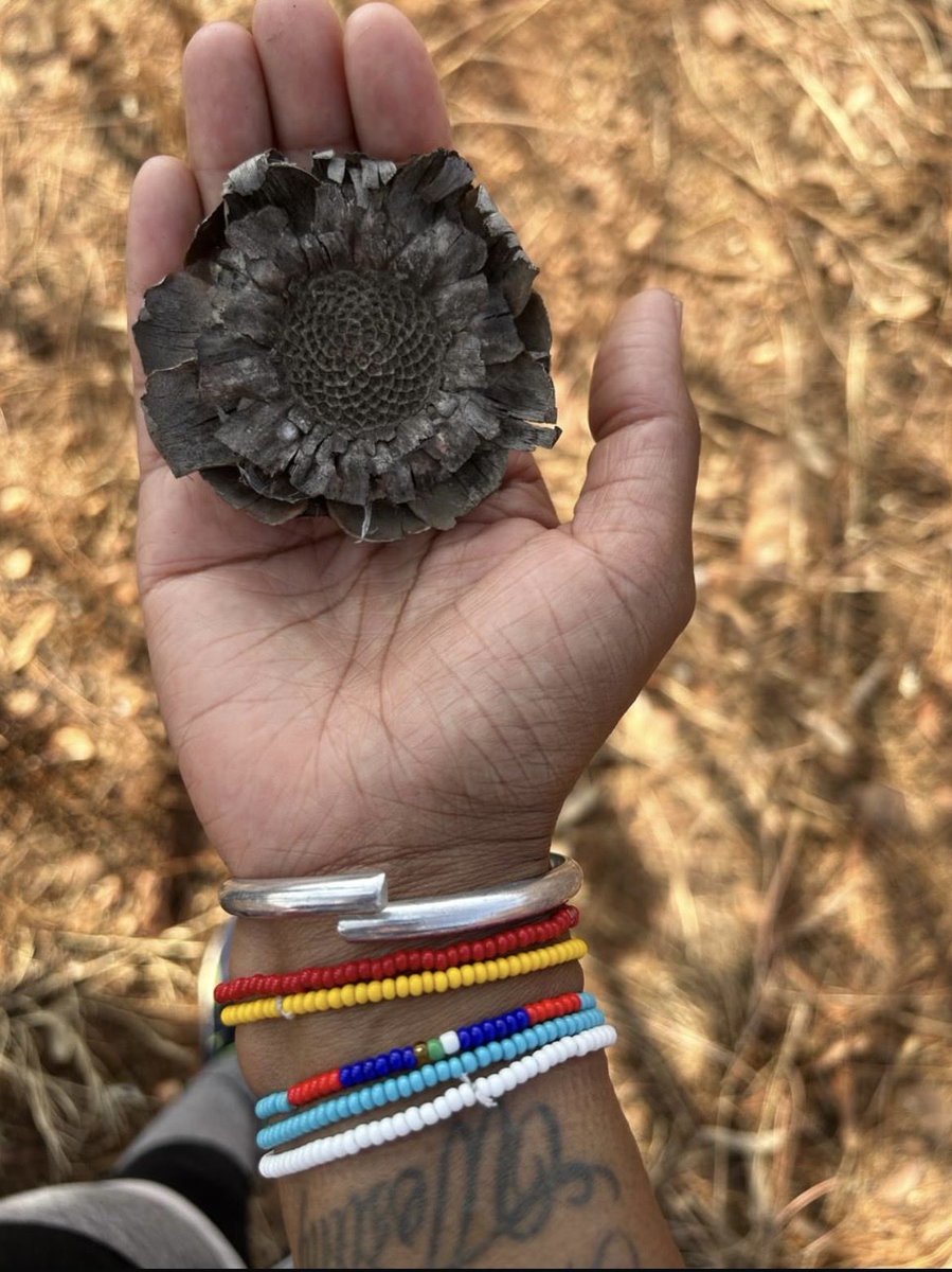 Stella Tsautse tweet media