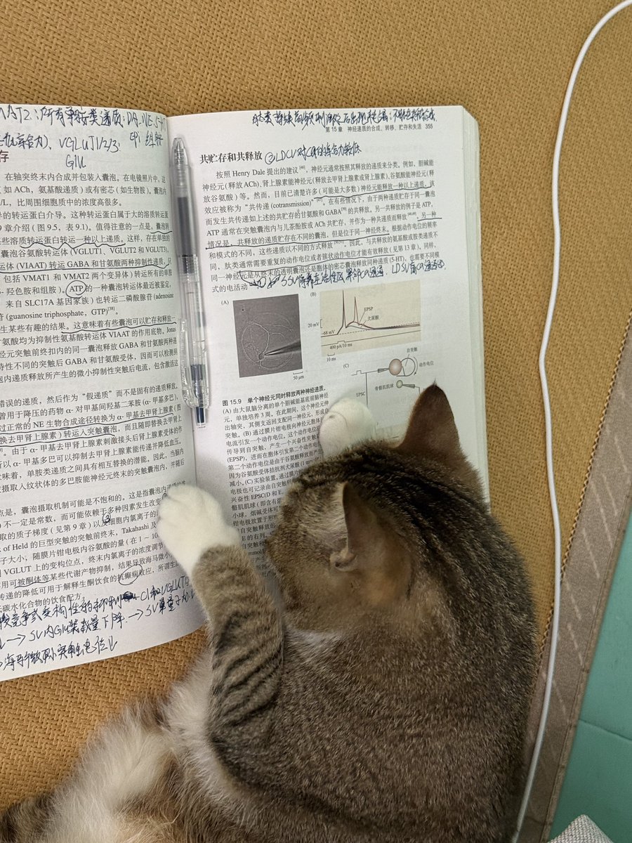 病号裤 tweet media