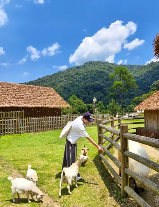 mark jayson dador tweet media