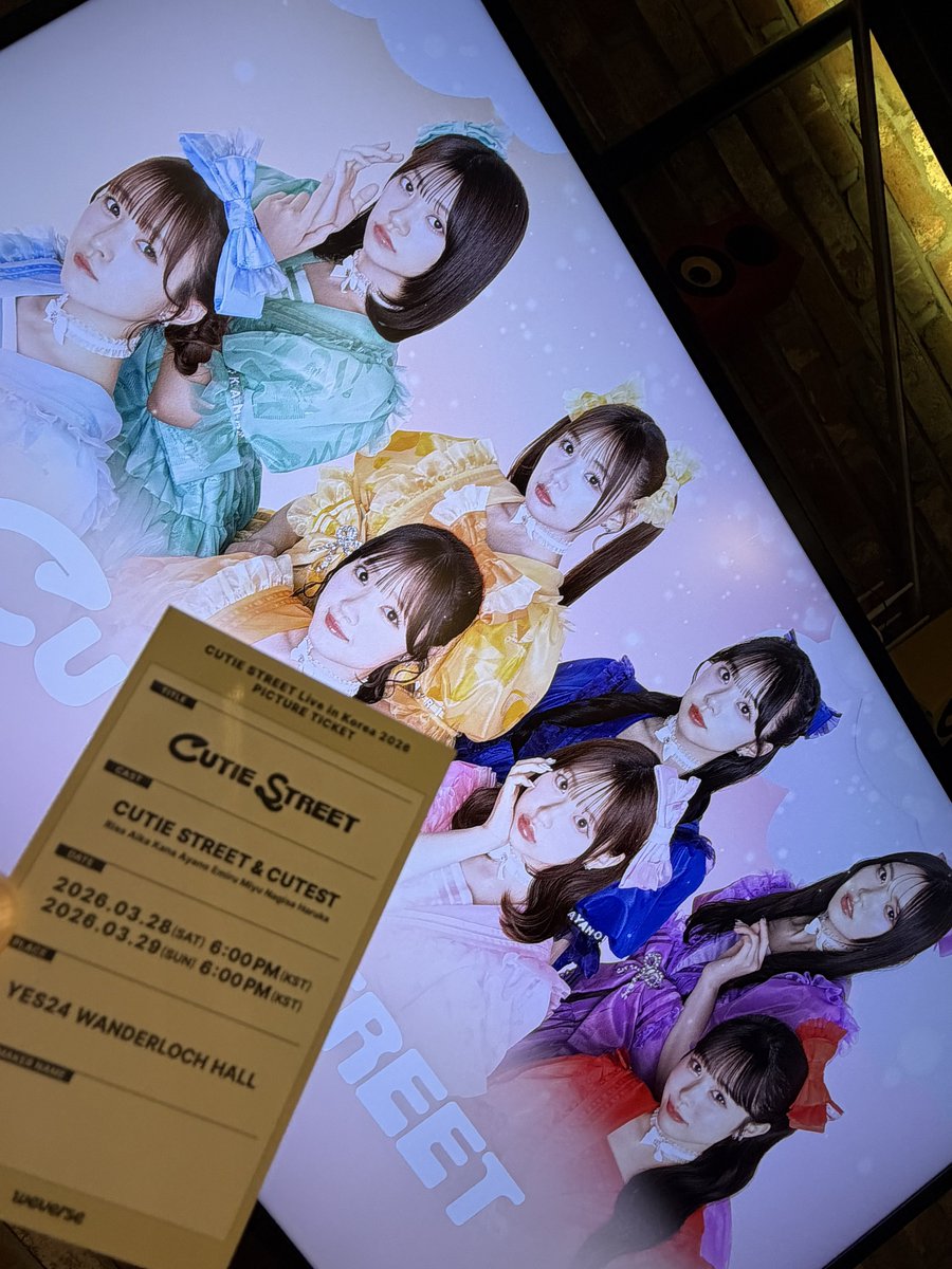 ど(ぅ） tweet media