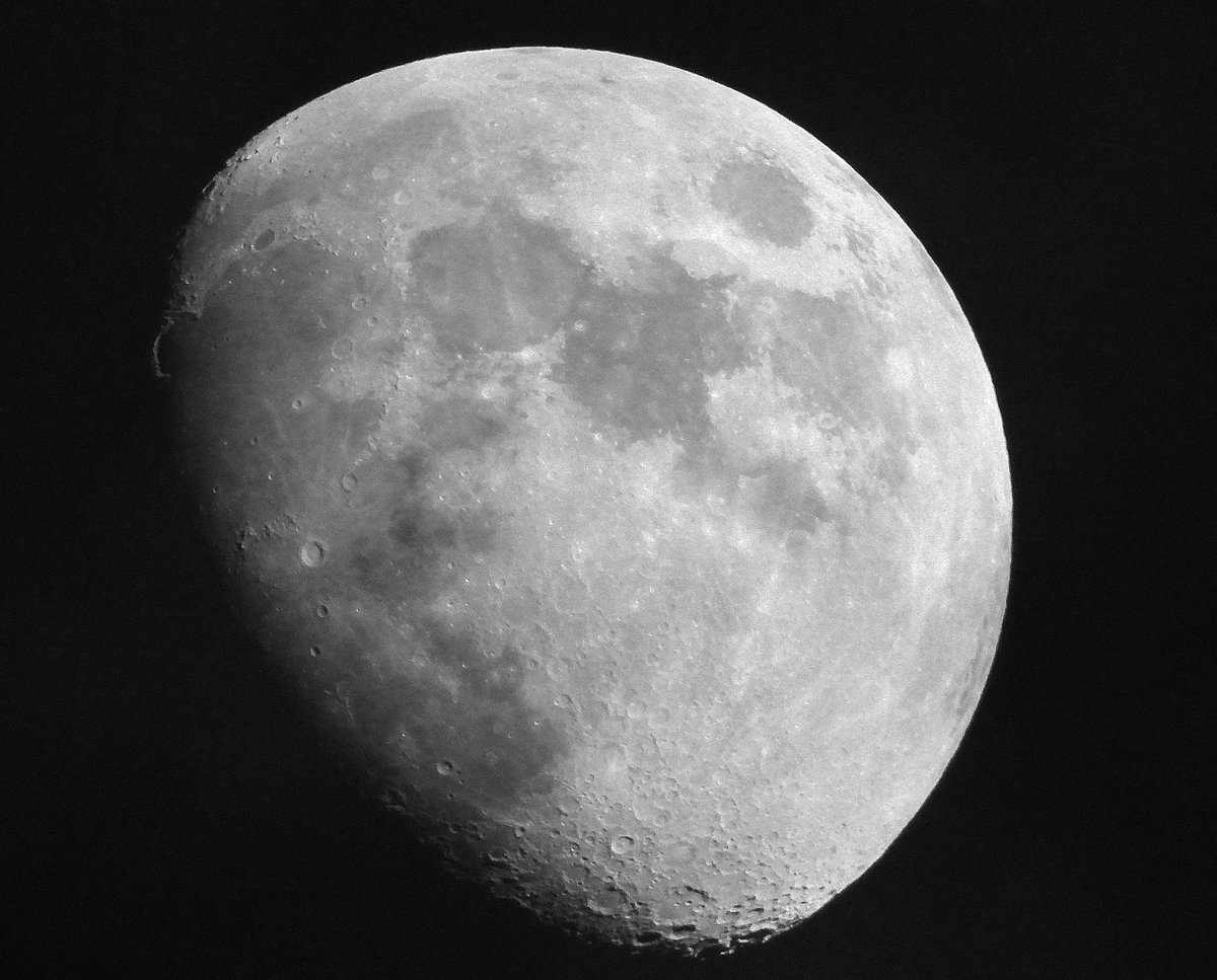 Firestallion Media tweet media