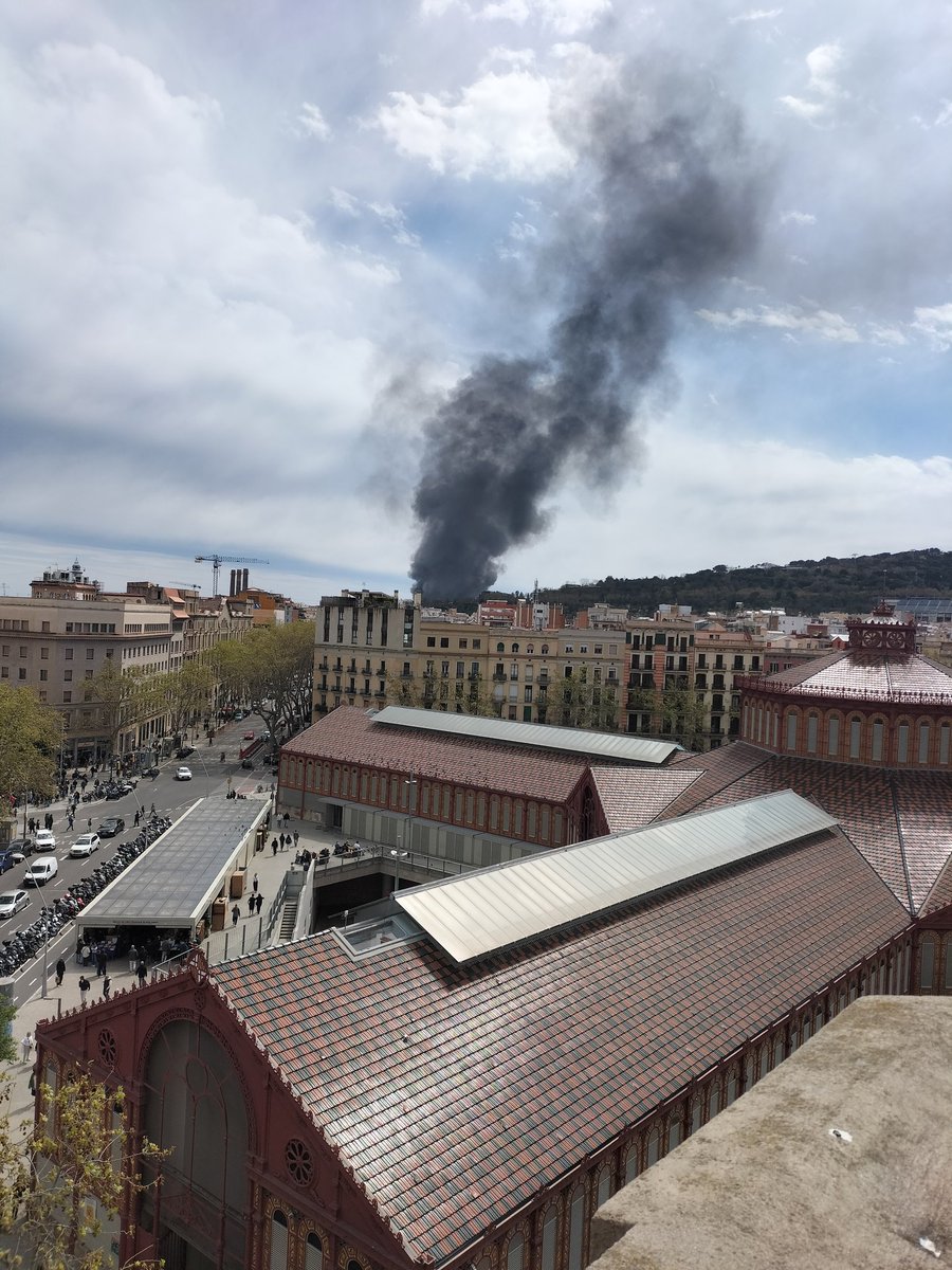 Marta 🍀 tweet media