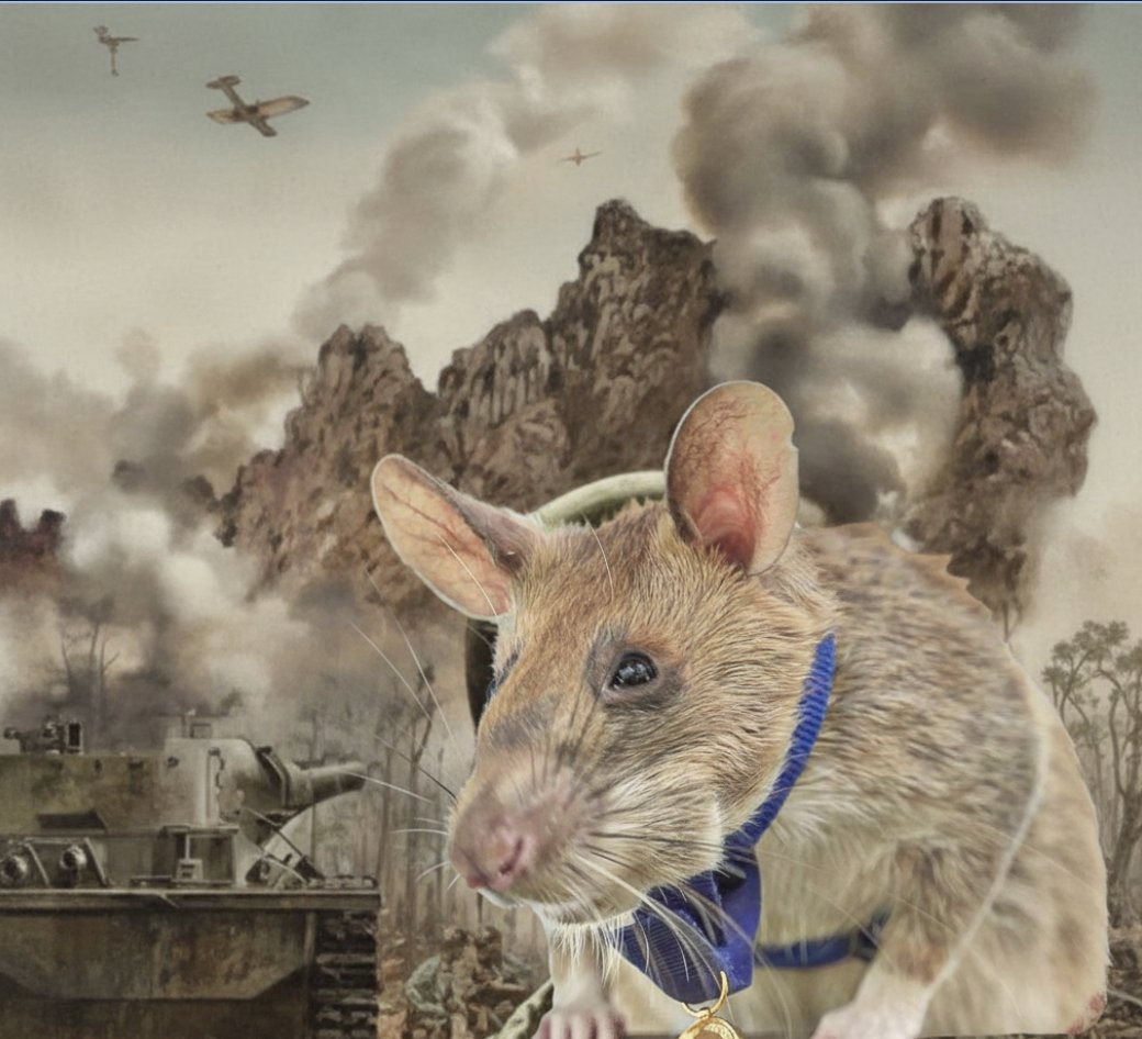 bobby ♚ tweet media