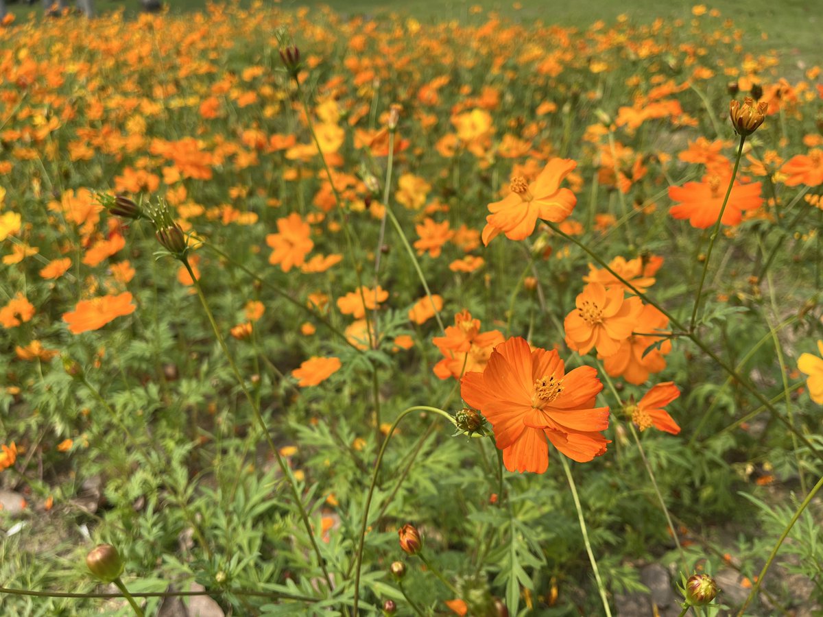 阿小信 tweet media