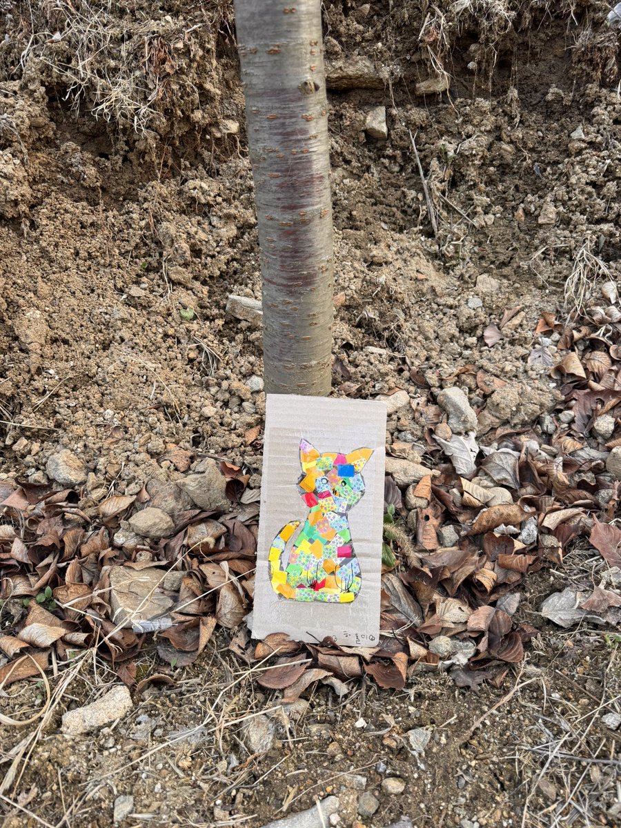 biniforever tweet media