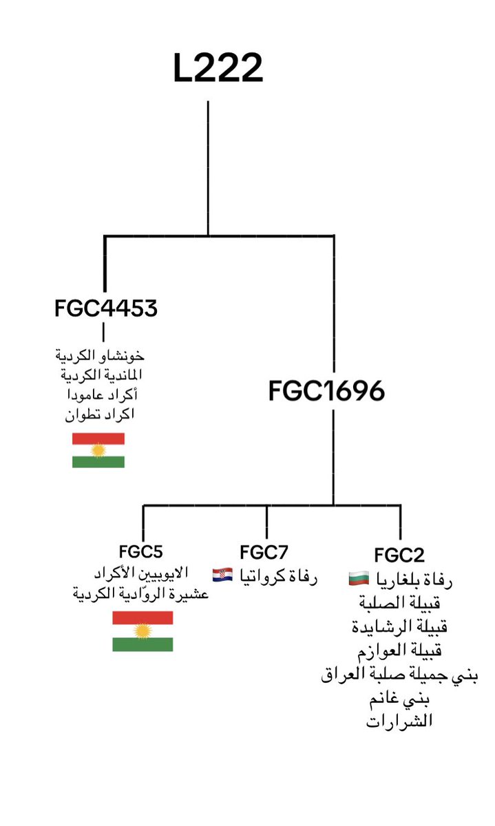Middle Eastern Genomics tweet media