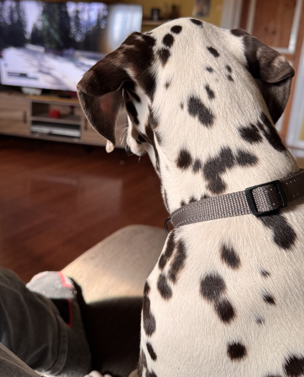 Peter iOS 26.2 tweet media