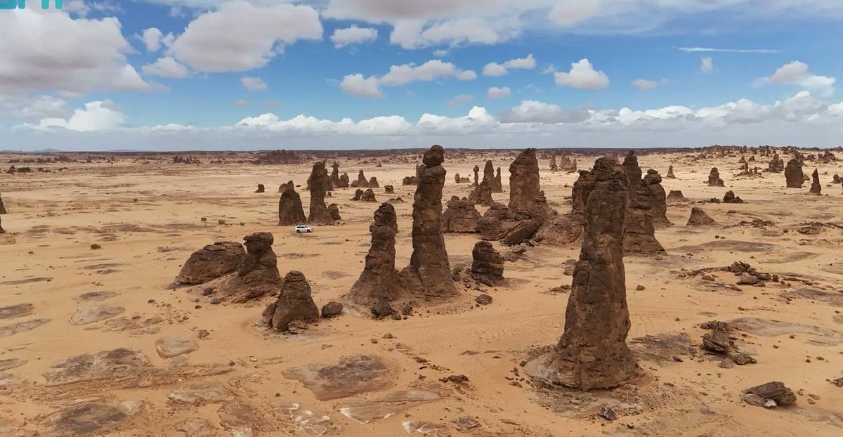 TSP جيوغرافيك tweet media