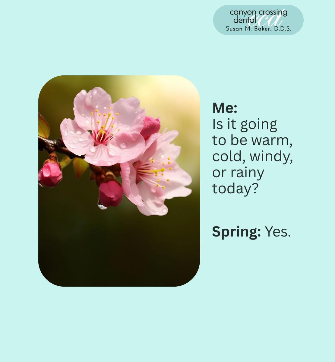 DrSusanBakerC's tweet image. Just when you thought the weather would be predictable. It seems like spring has other plans. What kind of weather are you hoping for? Let us know in the comments.
.
.
.
canyoncrossingdental.com
.
.
.
#spring #weather #hotorcold #CanyonCrossingDental #Ivins #UT