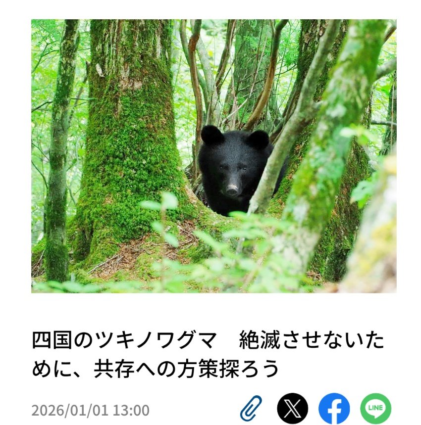 ๆฅๆฌ็ๆฃฎๅไผ๐ปๆฏ้จๅก tweet media