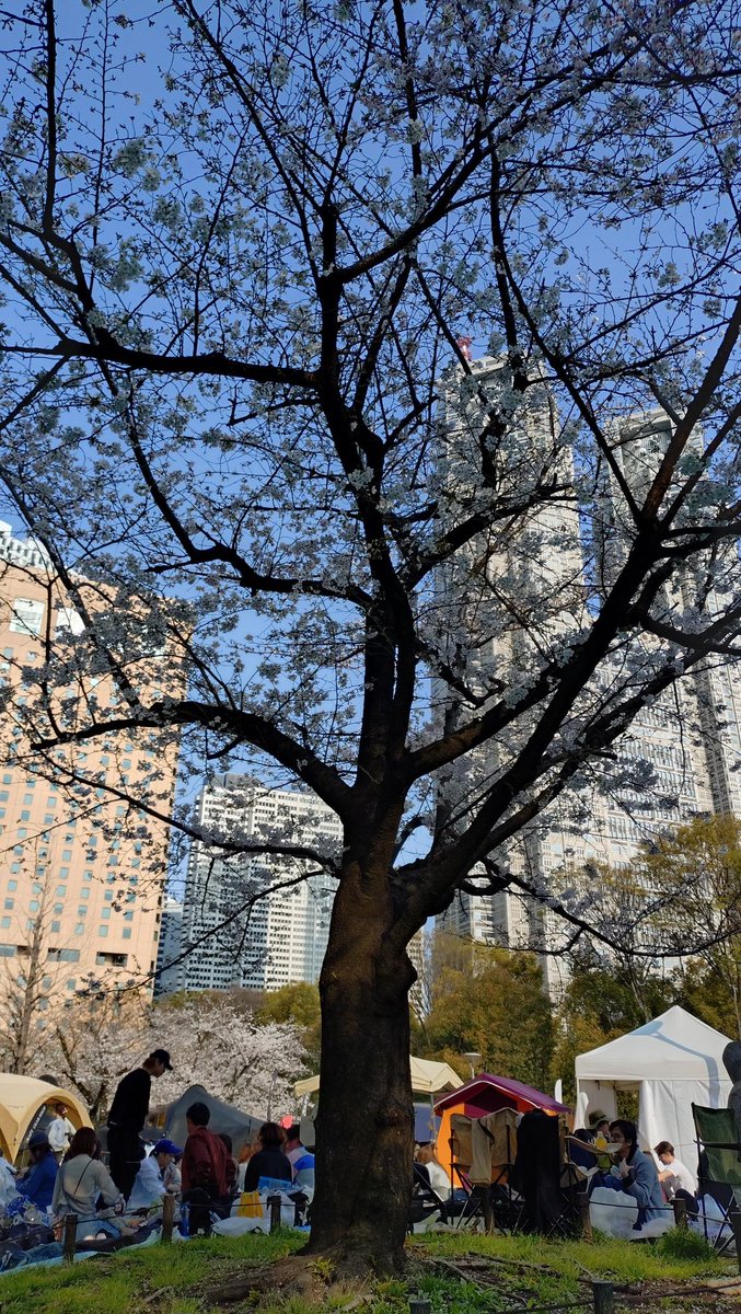 あると。ぱーと3 tweet media