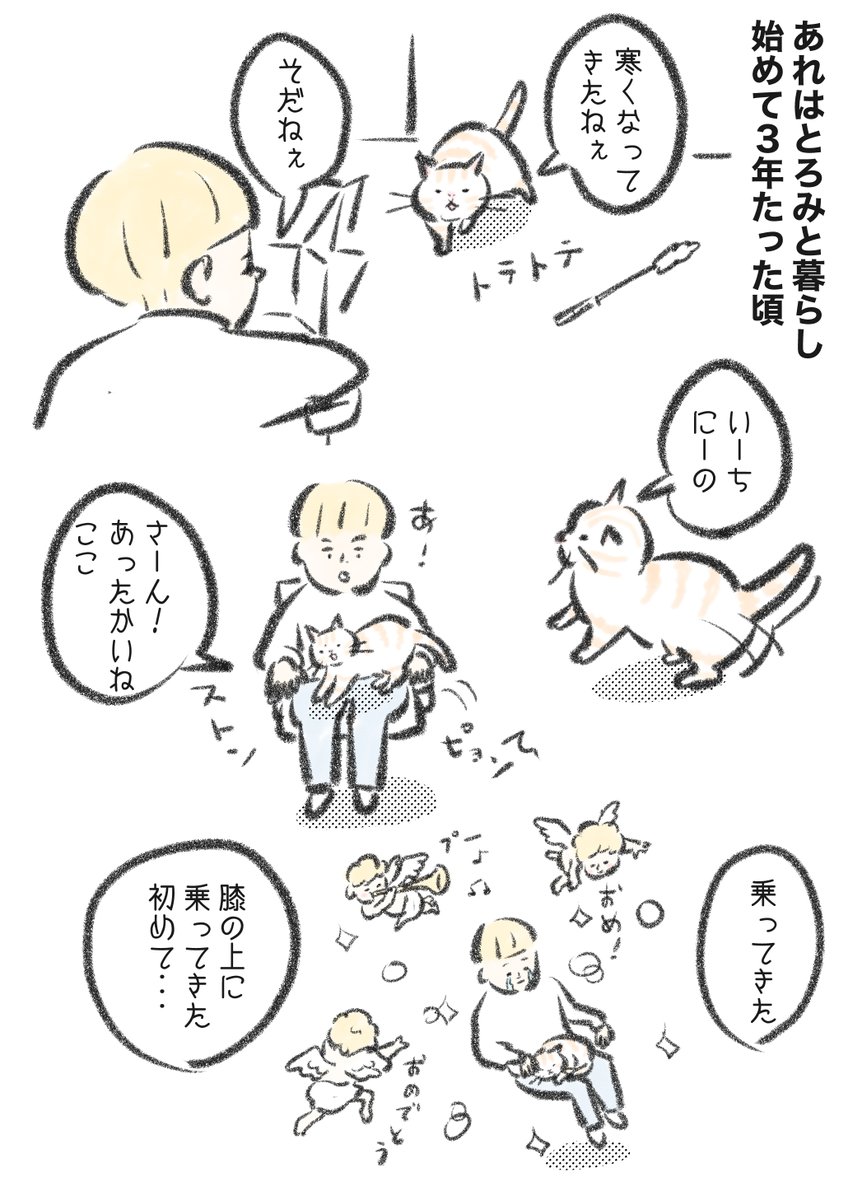 (3/6) 