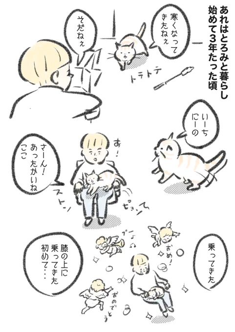 (3/6) 