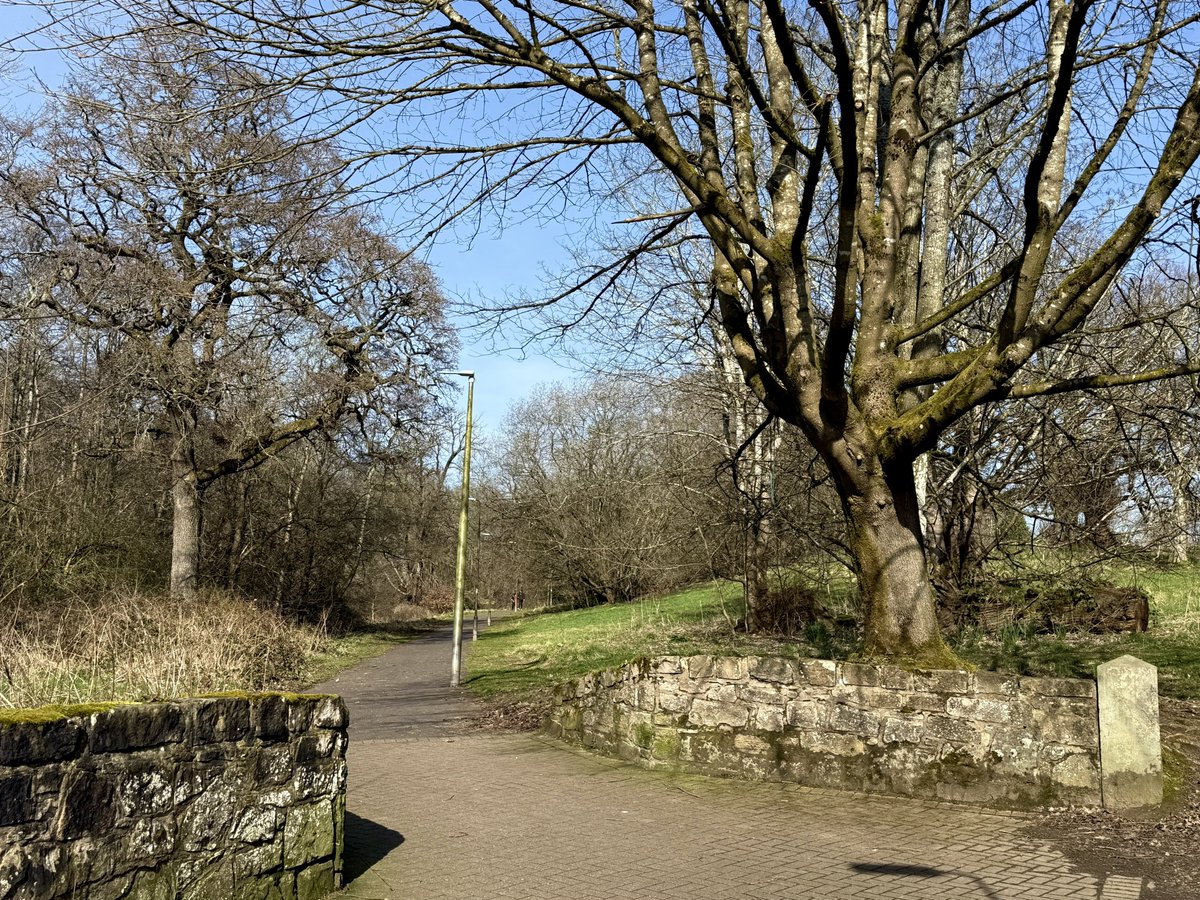 Elle Bee 📸💙🏴 tweet media