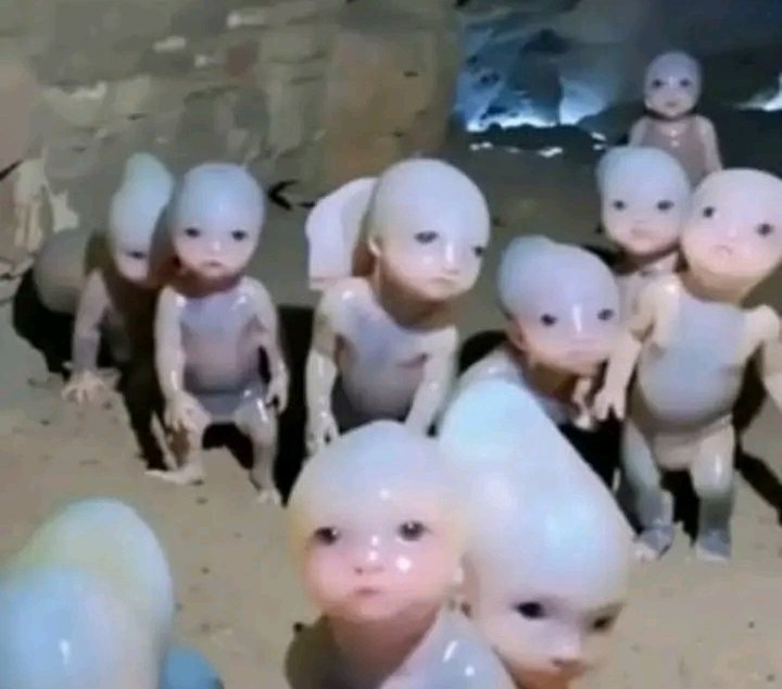 Rio mádé🌹🥰 tweet media