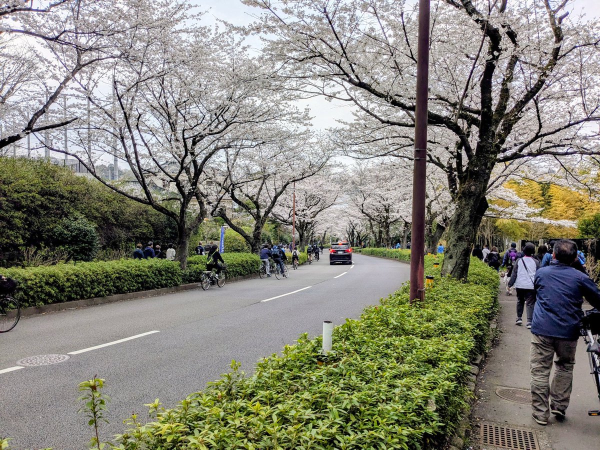 本日は

#桜
ですネ〜🌸

近所の🌸ですが、綺麗に咲いてました〜

さぁ明日からお仕事ですネ〜😅
ボチボチとほどほどに活きたいですね～!!