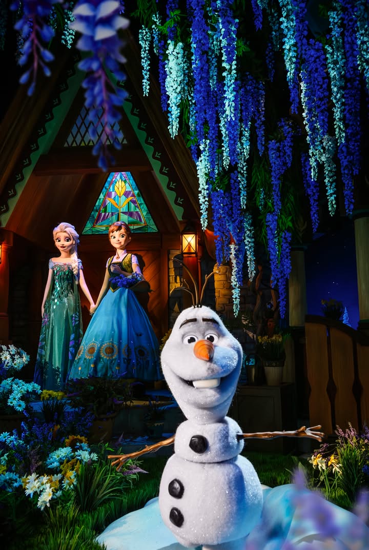 DisneyParis_EN's tweet photo. Wandering around the Kingdom of Arendelle! ❄️ https://t.co/xZLr05IkNG