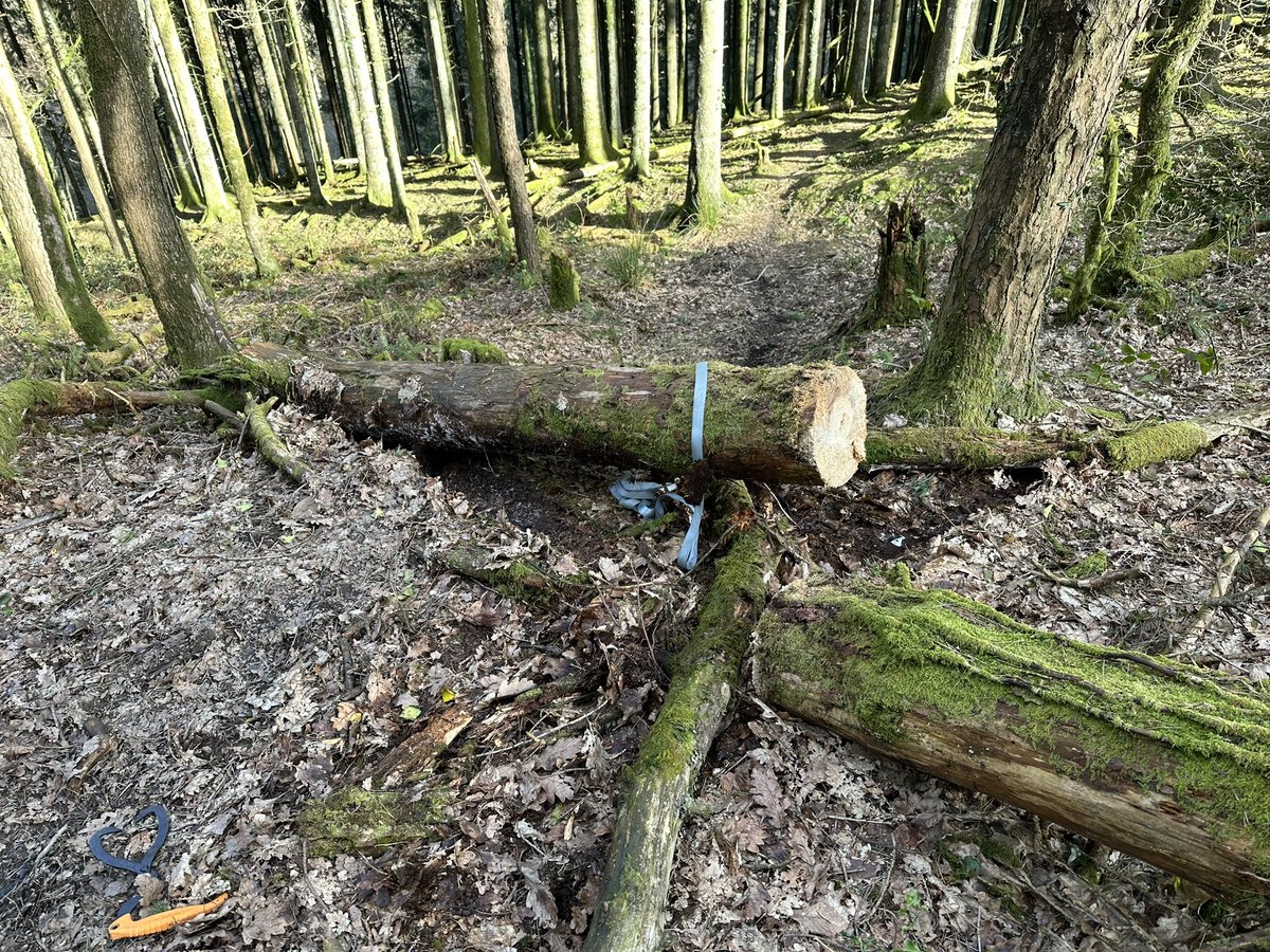 grayomtb's tweet image. Also attended to ‘death log’ which has been interrupting Aber dabba doo for a long time. A plan, some LI-ion support and physics helped in this girthy number. Backfill to @farragherc specification. 😉
Flow tech top to bottom now. Beauty. 👌 
#trailfairies #mtb