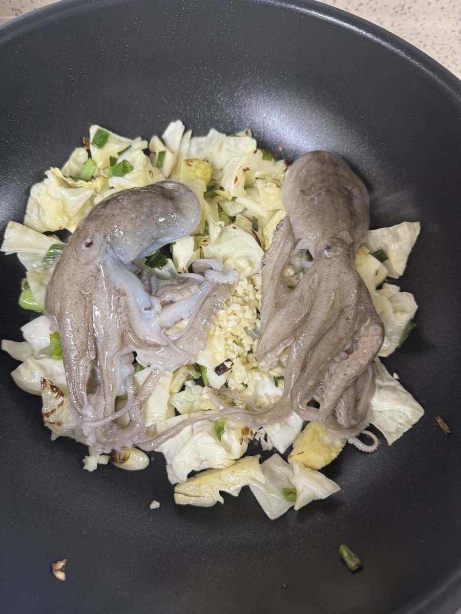 떡순이 커플 tweet media