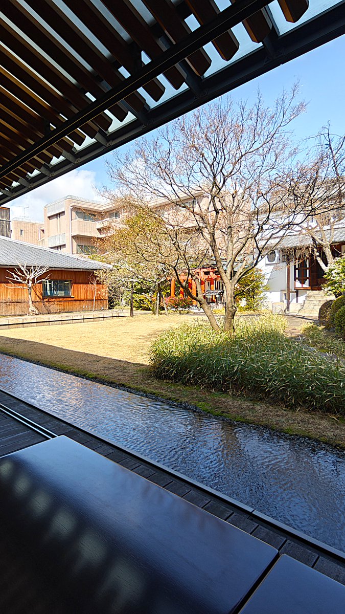 nagoyanohito's tweet image. 京都の老舗でお抹茶
虎屋菓寮 京都一条店
創業 室町時代
寒さも和らいだこの日は、お気に入りのお店で美味しいお菓子とお抹茶をいただきました
気取らずに過ごせるゆったりとした時間を皆様も過ごしてみてはいかがでしょうか
#そうだ京都行こう #kyoto_sweets #matcha