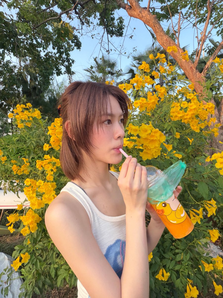 เอหมี tweet media