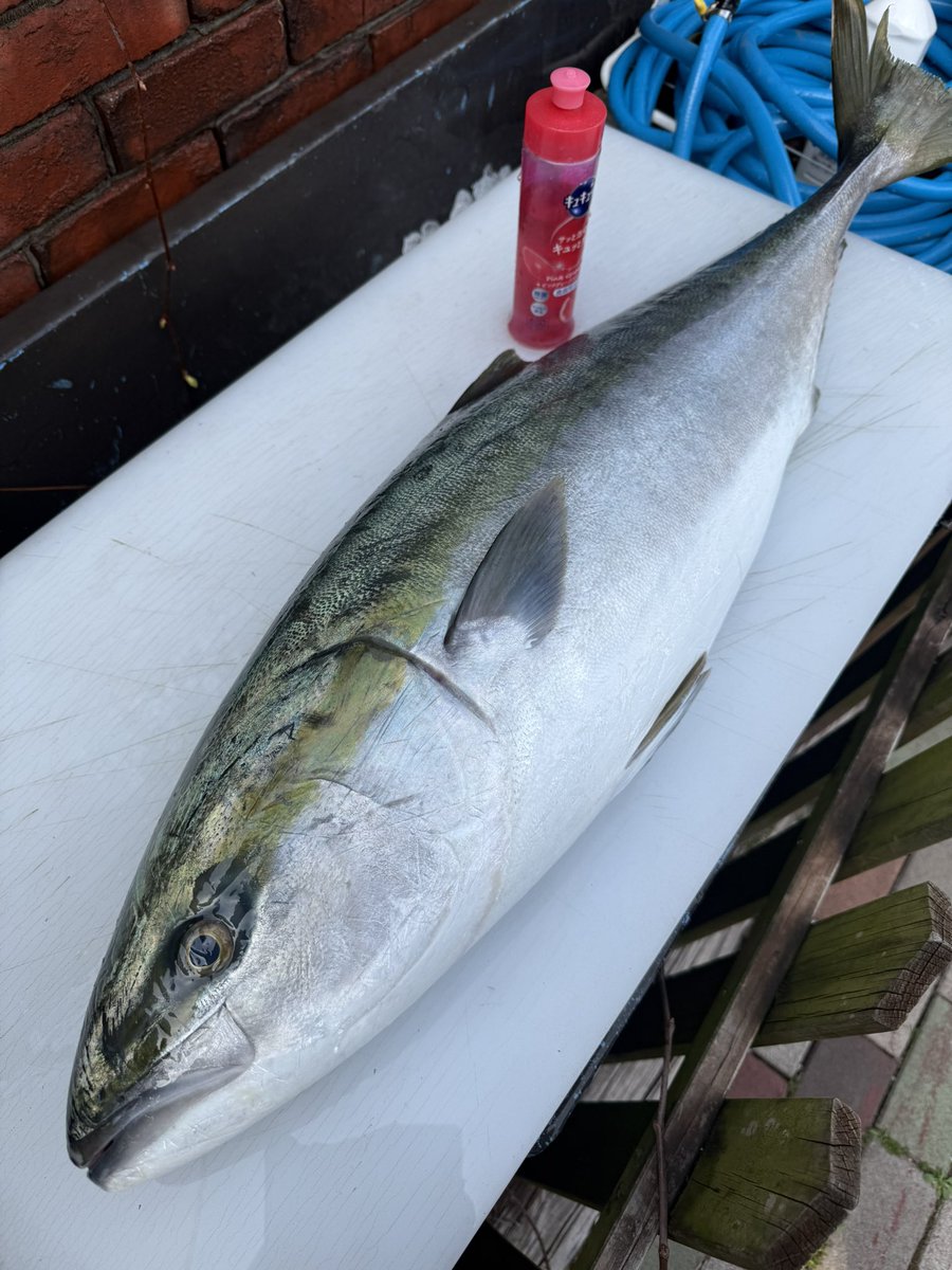 りーでっす* tweet media