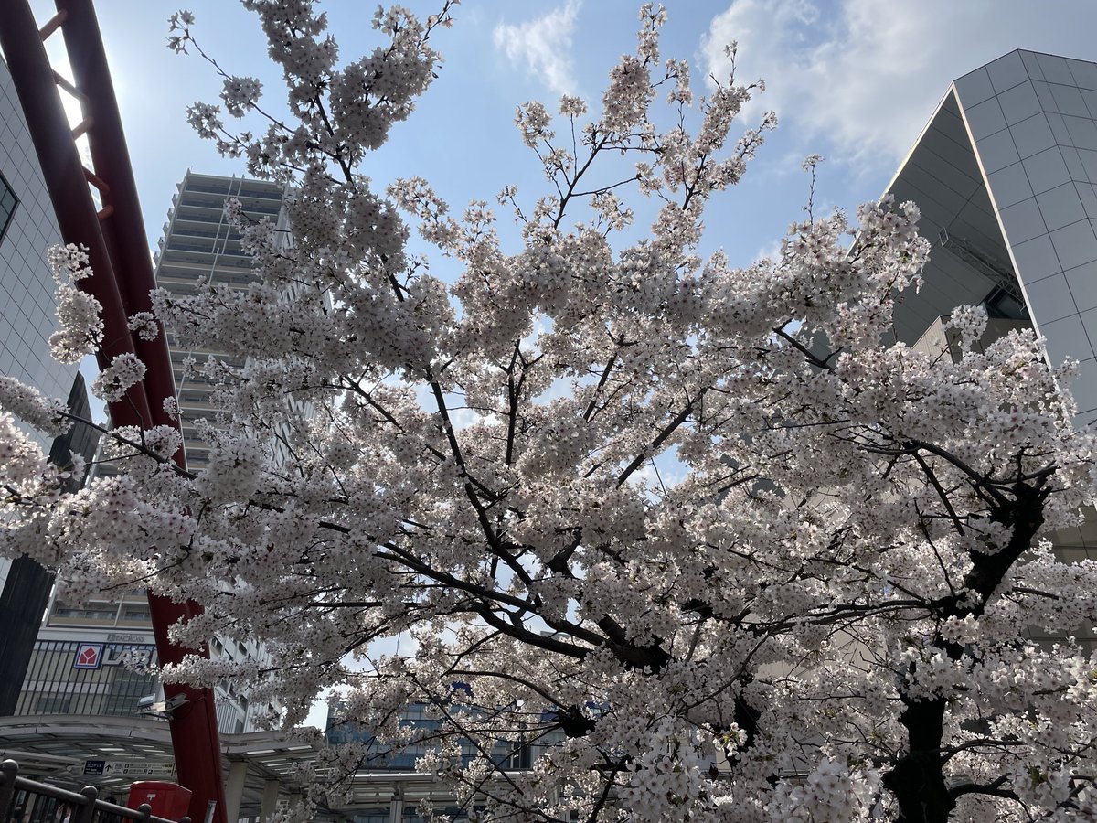 はすみの tweet media