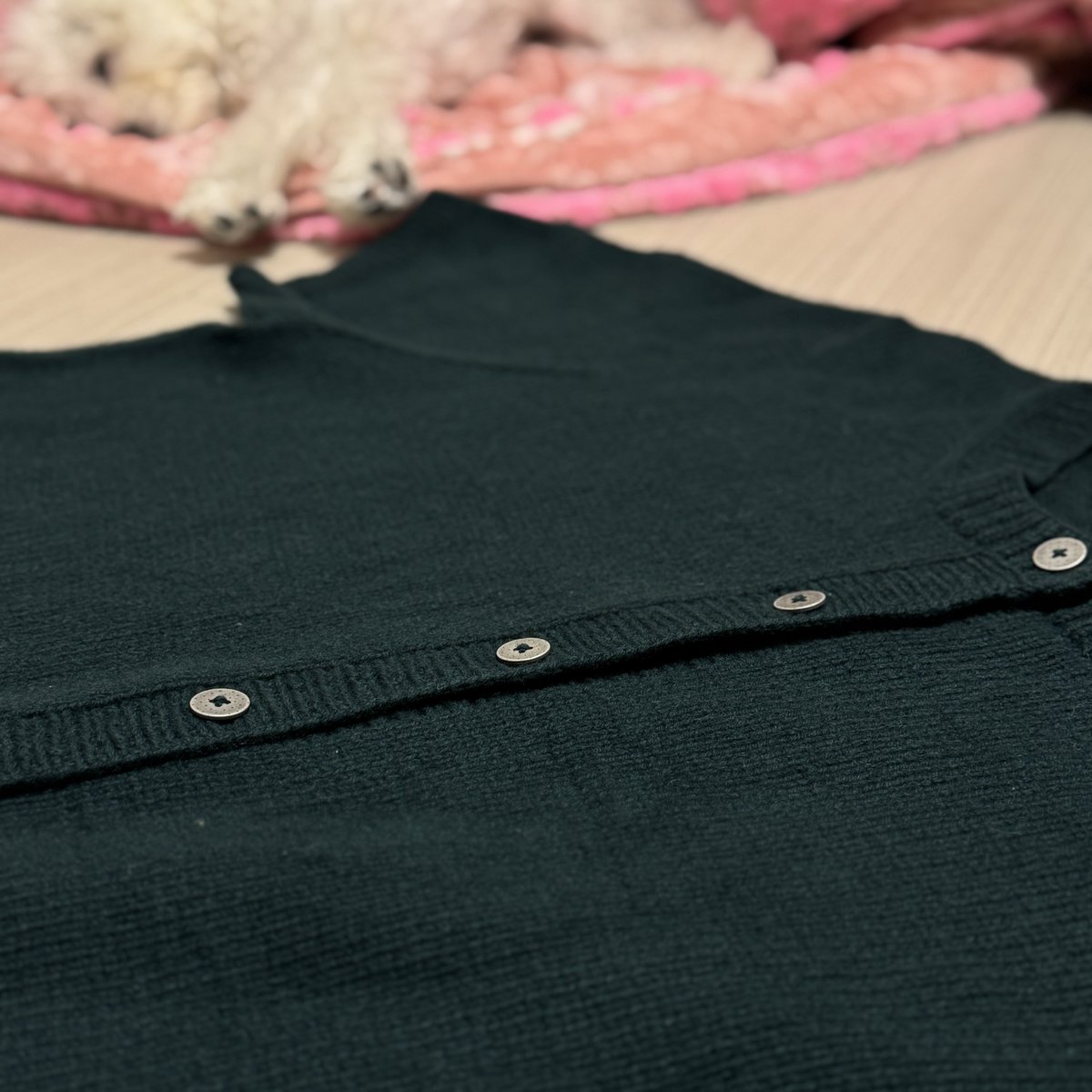 데일🧶 tweet media