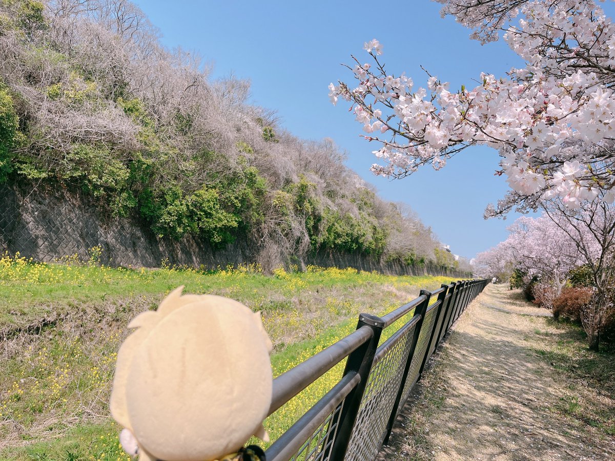 らいね tweet media