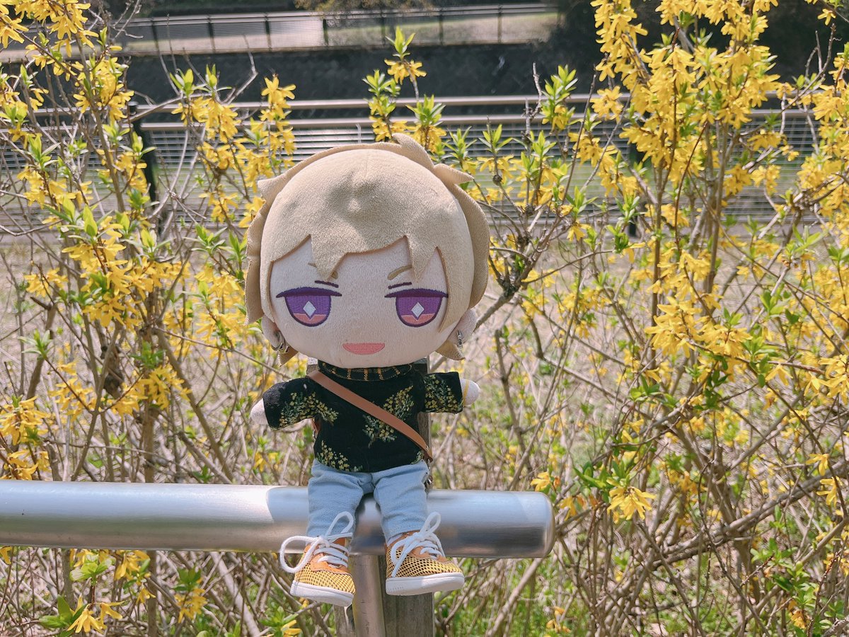 らいね tweet media