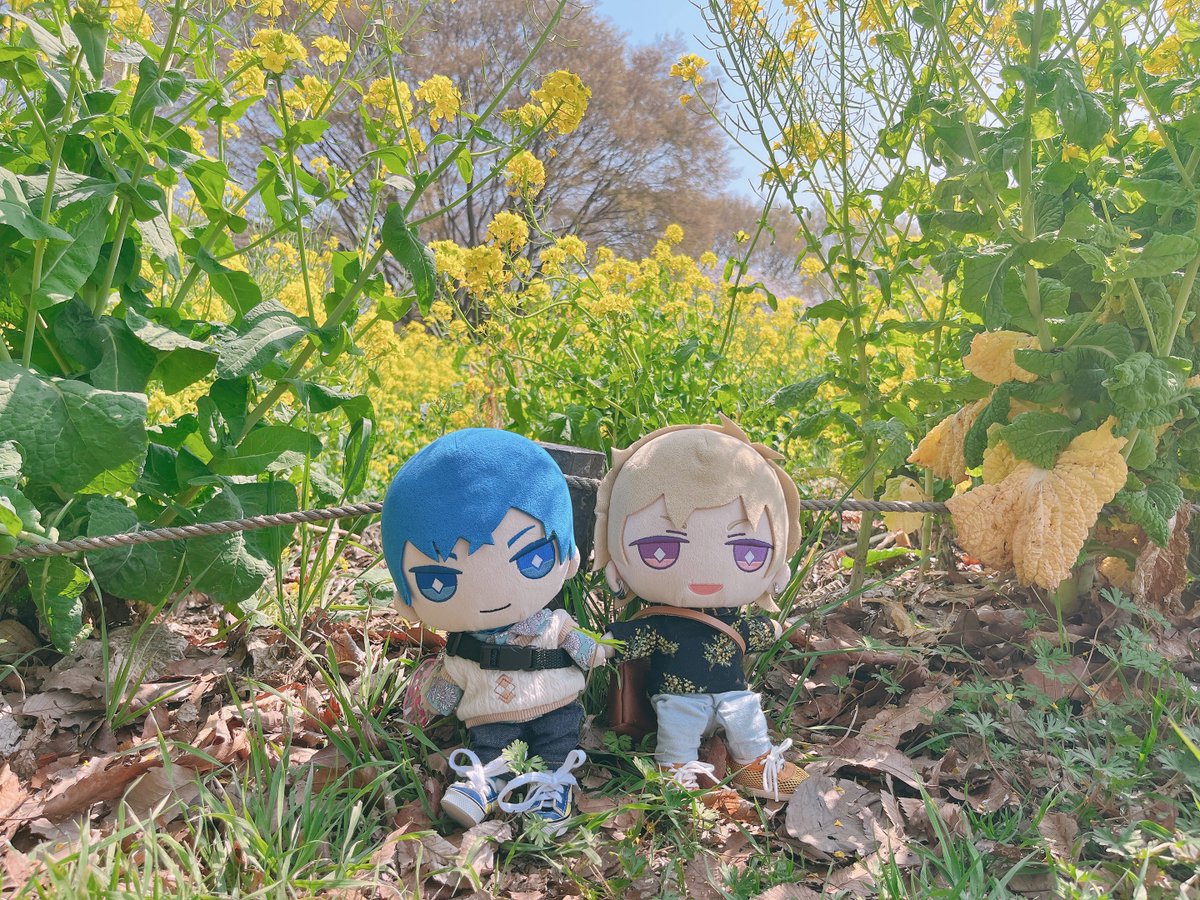 らいね tweet media