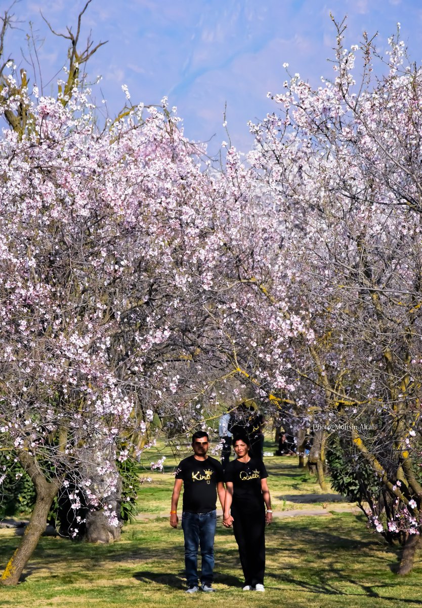 𝐌𝐨𝐡𝐬𝐢𝐧 𝐀𝐥𝐭𝐚𝐟 (محسن ألطاف حسنين) tweet media