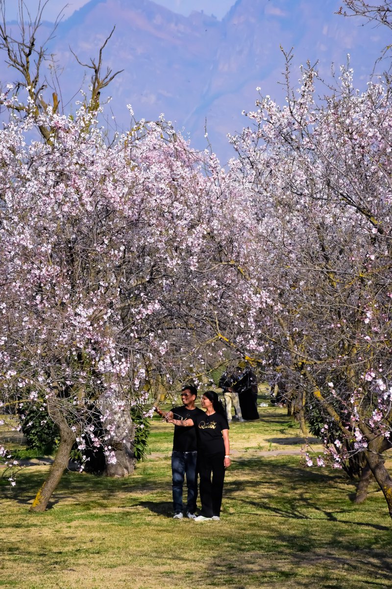 𝐌𝐨𝐡𝐬𝐢𝐧 𝐀𝐥𝐭𝐚𝐟 (محسن ألطاف حسنين) tweet media